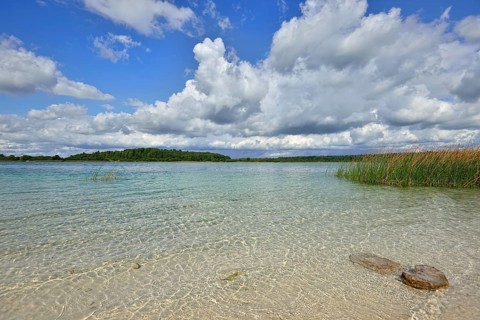 Landscape with a lake with transparent clay bottom near St. Petersburg. Sunny summer day