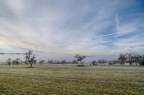 Landscape in the Black Forest with wafts of mist