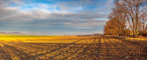 Autumn morning landscape over the city of Louny. Autumn plowed field at amazing sunrise. Czech