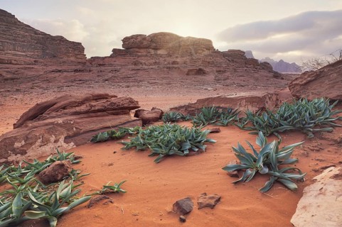 Felsige Formationen in der Wüste Wadi Rum, bewölkter Himmel über rotem Staub und Felsen,