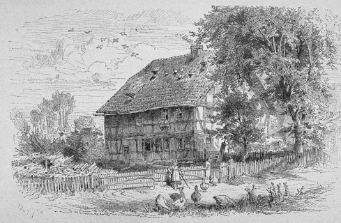 Illustration, agriculture, cultivation, outdoor, farmer, farm, biology, depiction, garden