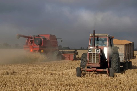 TIMARU, NEW ZEALAND, CIRCA FEBRUARY 2010: Farmers harvest a crop of wheat, South Canterbury, New