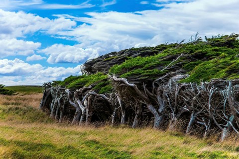 Great trip to New Zealand. Scenic South Island on a cloudy windy day. Frequent hurricane wind from