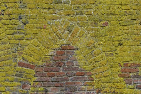 Background with brick wall grown with mos and ancient medieval window shape
