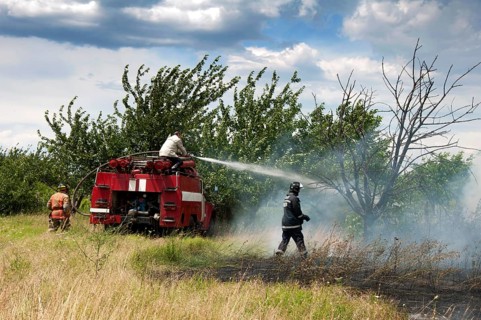 Firefighters extinguish a fire. Trees and grass