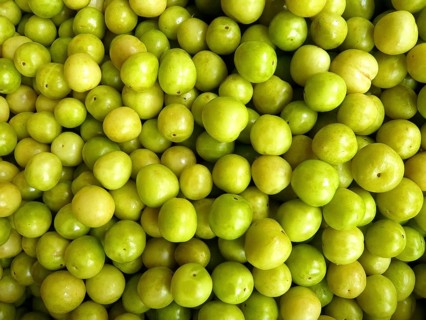 Closeup of many fresh green plums filling the entire picture