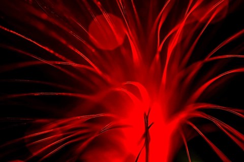 Fibre Optic Abstract
