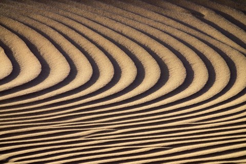Background texture of sand dunes in Sahara desert