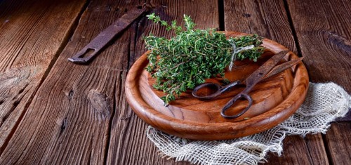 Thyme (Thymus vulgaris)