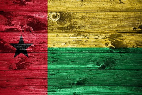 Guinea Bissau flag on wooden planks background wood flag