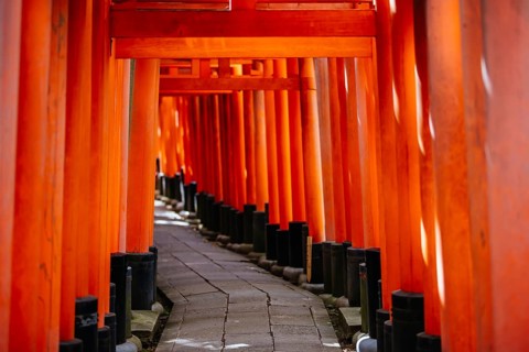 Kyoto, Japan - May 15 2019: Red Tori Gate at Fushimi Inari Shrine in Kyoto, Japan. One of the