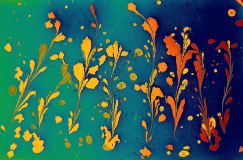 Beautiful abstract art of Ebru marbling painting techniques on water with acrylic paints