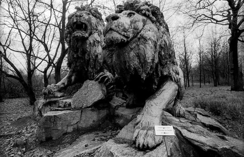 Germany, Berlin, 03.01.1991, Tierpark Friedrichsfelde, lions, used to stand in front of the city