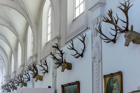Hunting trophies on the wall in the German Hunting and Fishing Museum, Munich, Upper Bavaria,