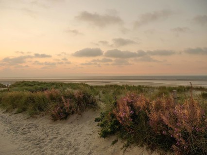 Dune landscape on the beach at sunset with pink sky and scattered clouds in the background,