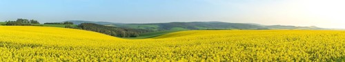 Panorama with the agricultural hills from Moravia, near the village Korycany in the Czech Republic