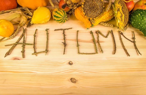 The word autumn written out of tree twigs on a wooden background, with the results of the harvest