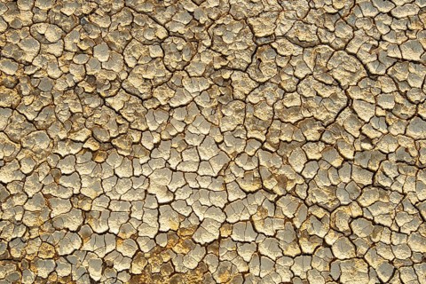 Dry cracked ground background. Concept image of global warming