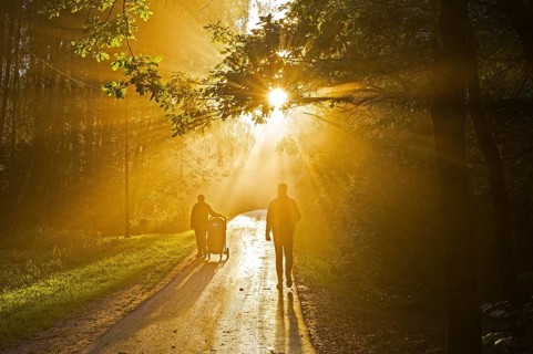 The sun's rays break through the fog. Early evening