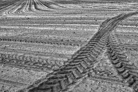 Sand, sandy soil, tractor tracks