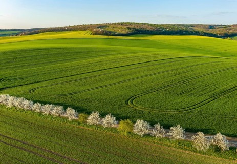 Aerial view of amazing green wavy hills with agricultural fields and blooming garens in spring.