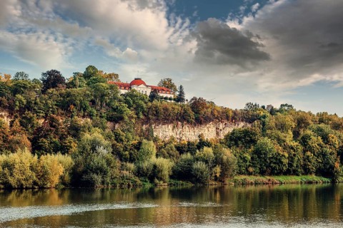 Autumn Landscape, River And Shores With Trees, Bushes And City Houses Marbach Am Neckar. Panoramic