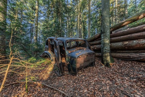 Wrecked car Hudson Terraplane K Tourer Sedan built in 1935 that has been sitting in a forest for