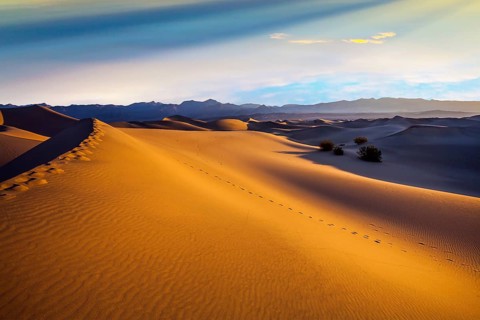 Mesquite Flat Sand Dunes - dunes in Death Valley. The morning. The sand lies in light waves. Human