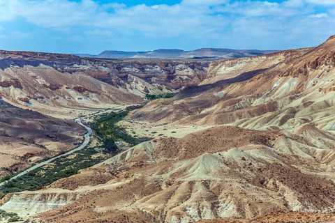 Wonderful spring in Israel. Gorge and desert canyon Ein Avdat. Beautiful warm windy day in the