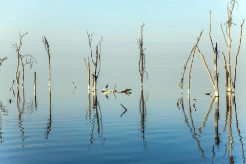 Sunrise on Lake Nakuru. Safari - tour to the famous reserve Lake Nakuru National Park, Kenya. The