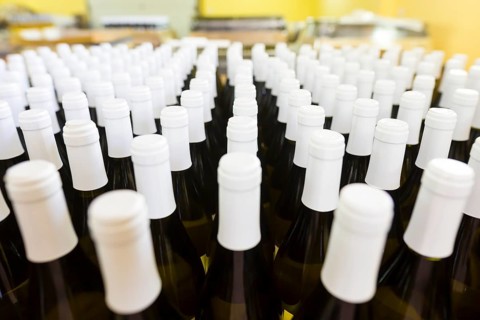 White wine bottles in a winery ordered for labeling before packed and shipped for sale