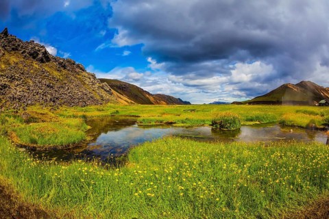 The picturesque valley in Landmannalaugar national park. Summer in Iceland. Green grass among hot