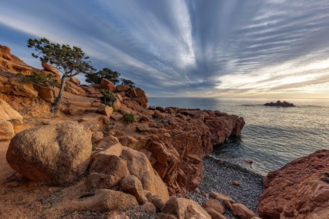 Coastal landscape with bizarre, red rocks and weathered, gnarled trees at sunset over the sea,