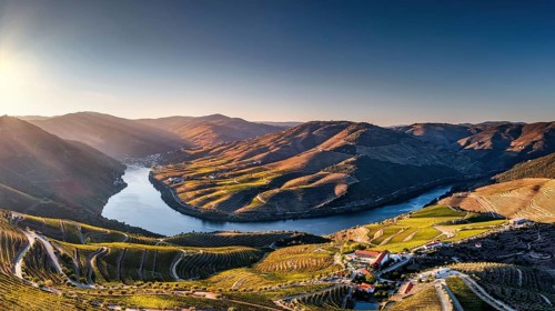 Terraced Portuguese vineyards near Nagozelo do Douro, where port wine is produced
