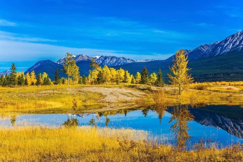 Exquisite Abraham Reservoir Lake with turquoise water. Warm September in the mountains of Canada.