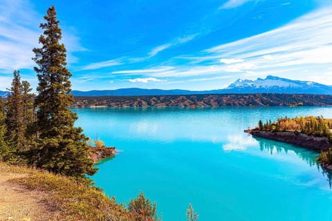 Picturesque Abraham Lake with blue water. Sunny day in October. Gorgeous Canadian autumn. Journey