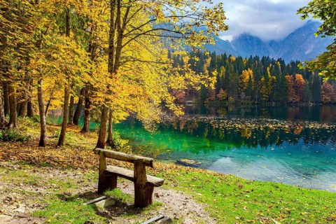 Picturesque wooden bench on the lake. The bright colors of the autumn forests are reflected in the