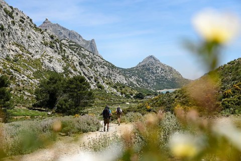 Hikers pass white flower, behind them the Embalse de Cuber reservoir, Tramuntana Mountains,