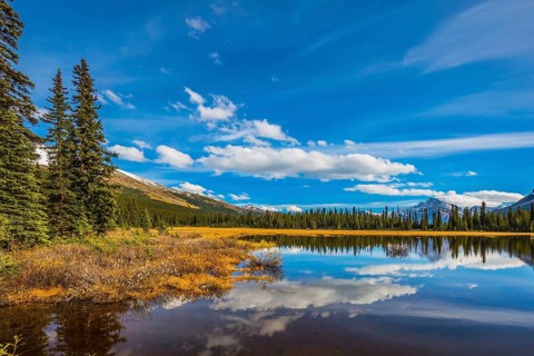 Swamp in the valley of the Rocky Mountains. Clouds are reflected in smooth water. Autumn in Canada.