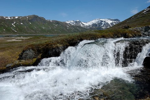 Waterfall at Eidsbugarden, Jotunheimen National Park, Oppland, Norway