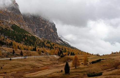 Autumn forest landscape at Passo Falzarego valley. Dolomite mountain range Italy. Fall season