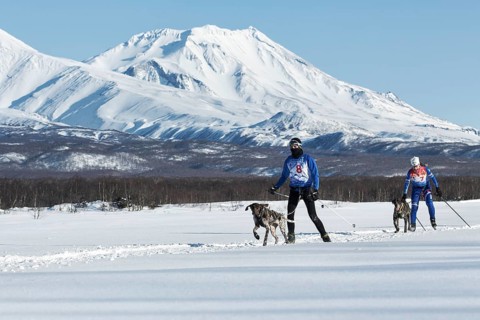 PETROPAVLOVSK-KAMCHATSKY, KAMCHATKA PENINSULA, RUSSIA, DECEMBER 10, 2016: Skijoring, competition