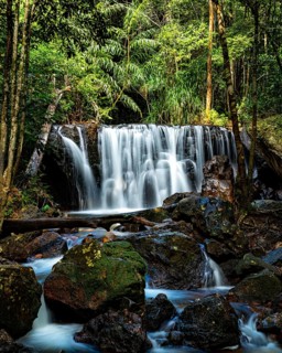 A serene waterfall cascades over rocks surrounded by lush greenery in a tropical forest, landscape,