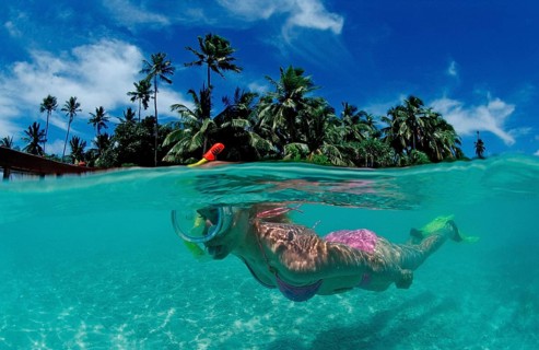 Snorkelling off Maldives Island, Maldives, Indian Ocean, Medhufushi, Meemu Atoll