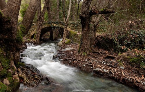 Autumn landscape landscape with river flowing below a stoned bridge