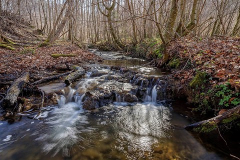 Small waterfall flows through wooded terrain, Stöckenhof, Bodanrücken, Allensbach, Lake Constance,