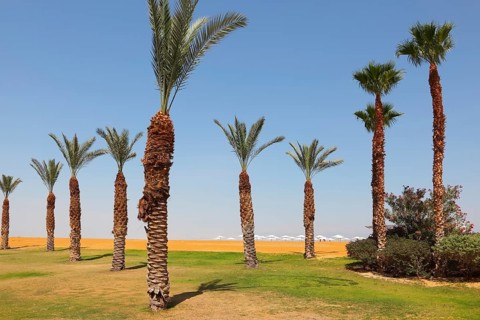 Deserted beach of a luxury hotel in Dead Sea in Israel. Sunny spring day