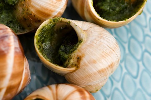 Close up of Escargots with garlic butter, lodz, poland