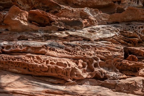 Detail of the Geiersteinfelsen, Geierstein, sandstone, Palatinate Forest, Bruchweiler-Bärenbach,