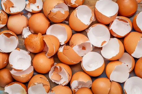 Broken chicken empty brown eggshels background